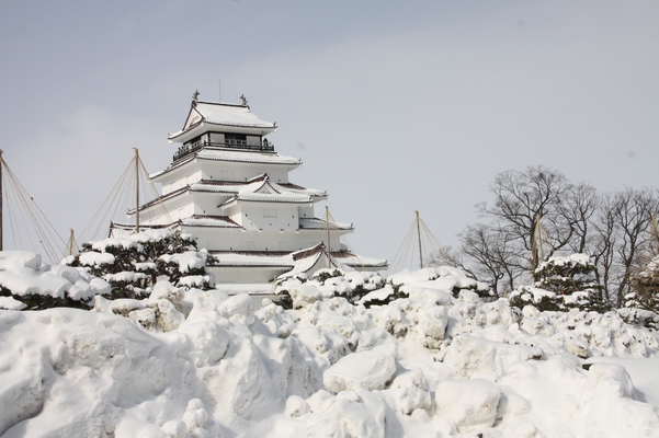 積雪と会津若松城「天守閣と雪つりの松」