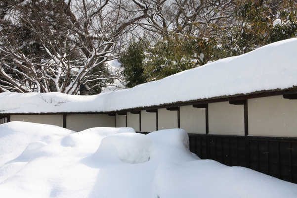 冬の会津若松城「積雪の茶屋麟閣の築地塀」