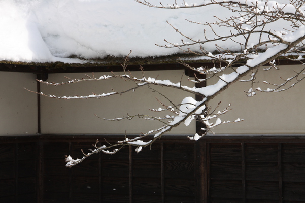 冬の会津若松城「積雪の枝と屋根」