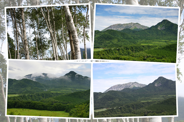 夏の「大山と烏ヶ山」と朝の変化/癒し憩い画像データベース