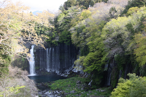 春の富士「白糸の滝」