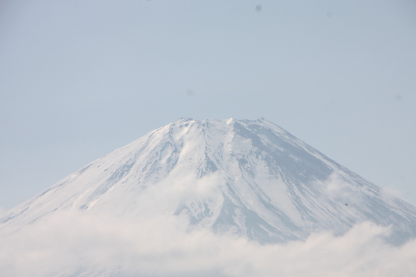 春残雪の富士山と雲海