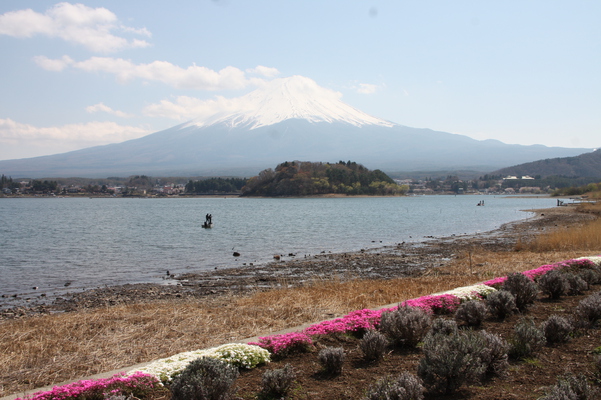 春の河口湖畔と富士山