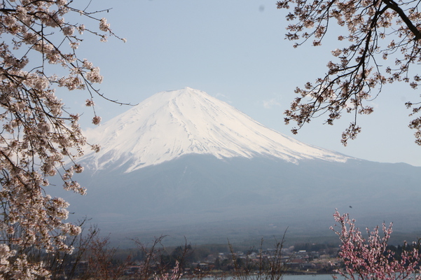 河口湖畔から見た「春の富士山」/癒し憩い画像データベース