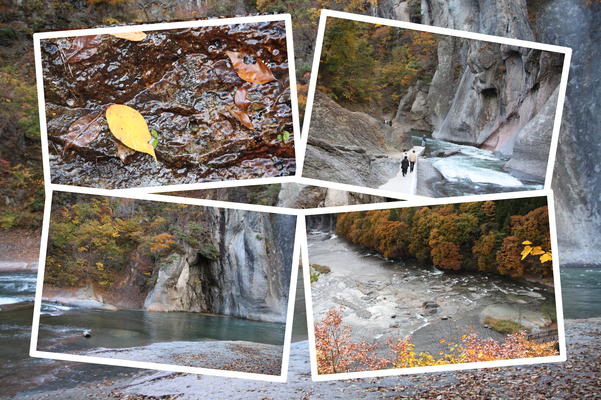 「吹割渓谷」の紅葉と渓流