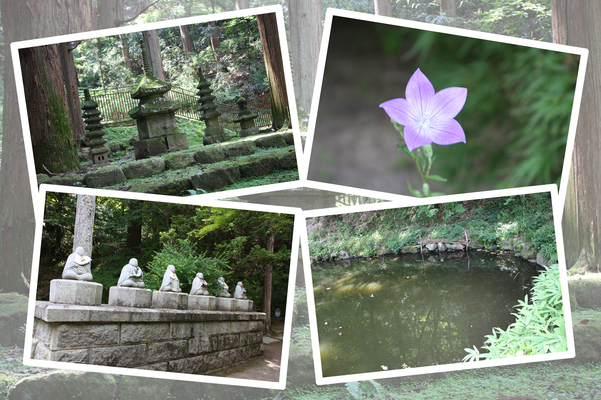 夏緑の信州・上田「常楽寺」の「石造り多宝塔」と周辺