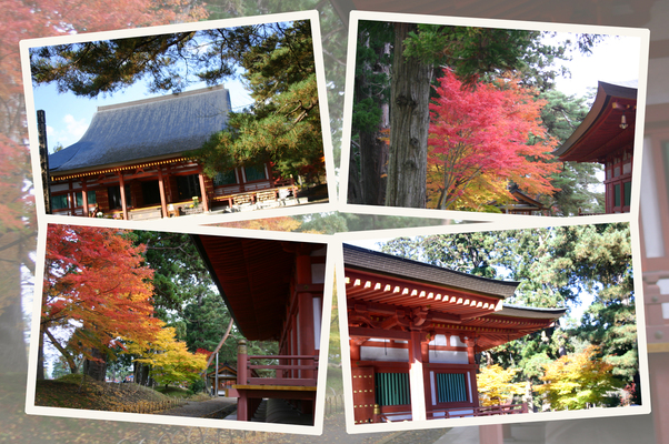 秋紅葉の平泉「毛越寺」本堂/癒し憩い画像データベース