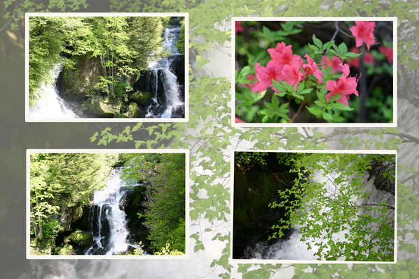 緑葉期の奥日光「竜頭ノ滝」