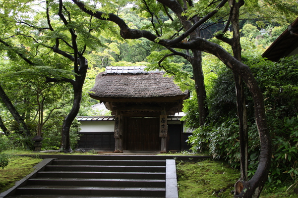 ��Ƥγ��ҡ��߳л��ֵ���ӡ�/�����Ƥ������ǡ����١���