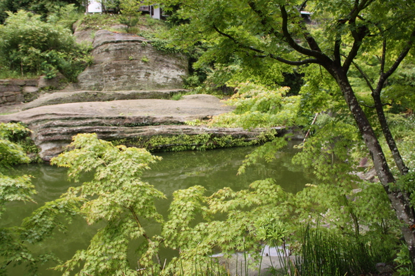 ��Ƥγ��ҡ��߳л���̯���ӡ�/�����Ƥ������ǡ����١���