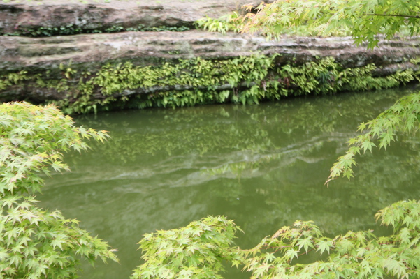 ��Ƥα߳л���̯���Ӥȥ����ǡ�/�����Ƥ������ǡ����١���