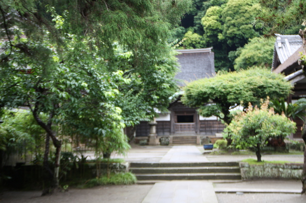 ��Ƥγ��ҡ��߳л�����³����/�����Ƥ������ǡ����١���