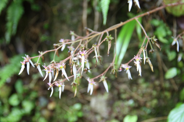 �業�Υ���/�����Ƥ������ǡ����١���