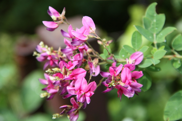 �߳л��Υϥ�/�����Ƥ������ǡ����١���