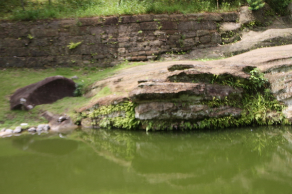 ��Ƥγ��ҡ��߳л���̯���Ӥȸ�Ƭ���/�����Ƥ������ǡ����١���