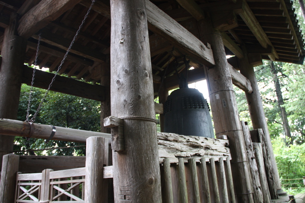 ��Ƥγ��ҡ��߳л��־�ϰ�ȹ���ʹ����ˡ�/�����Ƥ������ǡ����١���