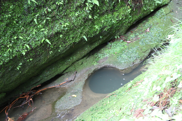 ���ҡ��߳л����ݤδ��ɤ��ѿ��/�����Ƥ������ǡ����١���