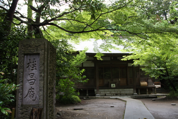 ��Ƥγ��ҡ��߳л��ַ˾��á���/�����Ƥ������ǡ����١���