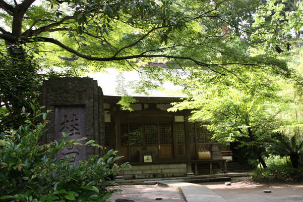 ��Ƥγ��ҡ��߳л��ַ˾��á�/�����Ƥ������ǡ����١���