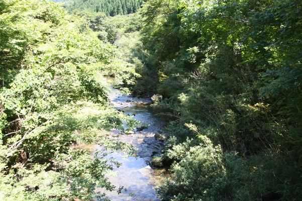 夏の深耶馬渓と渓流