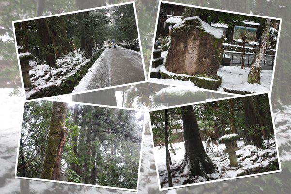 積雪の越前「那谷寺」の参道