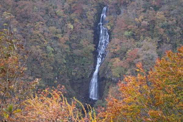 秋の宮城蔵王、直下瀑「三階の滝」