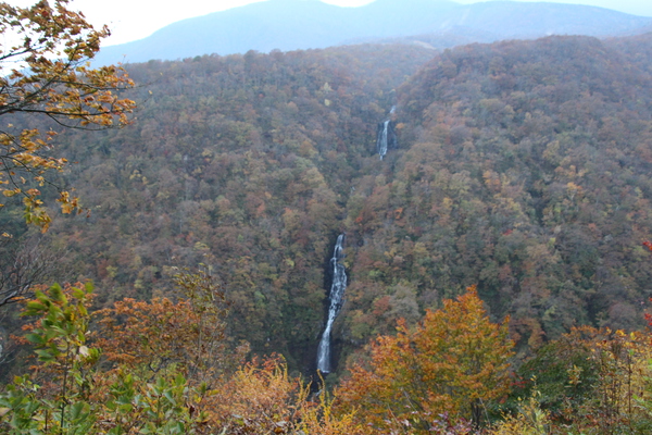 紅葉の森と宮城蔵王「三階の滝」