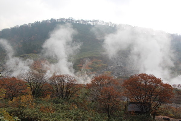 秋の玉川温泉の噴気群