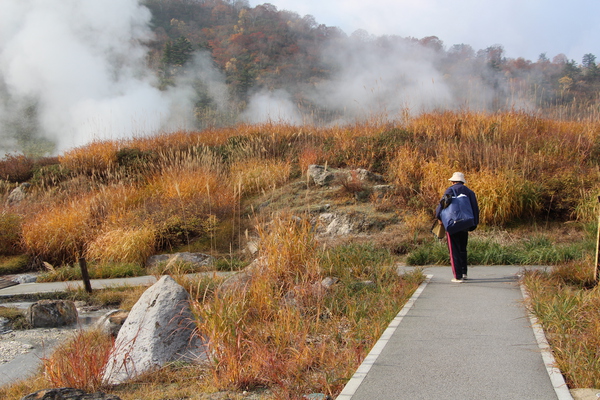 秋の玉川温泉の湯煙と散策路