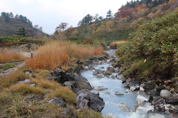 秋の玉川温泉地を流れる濁った水流