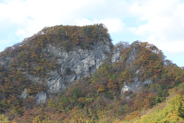 岩泉「龍泉洞」近くの石灰岩地層