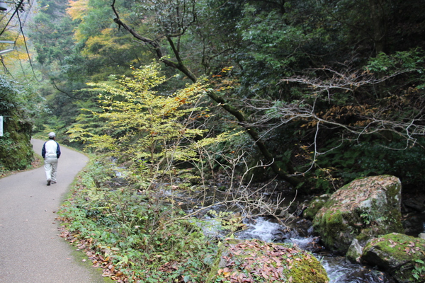 「神庭の滝」への遊歩道