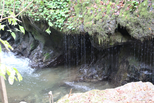 渓流と「玉垂の滝」