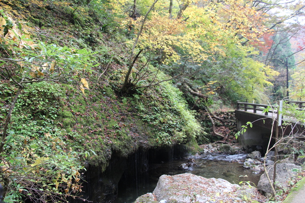 秋の渓流と「玉垂の滝」
