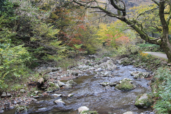 神庭の滝からの渓流と秋模様