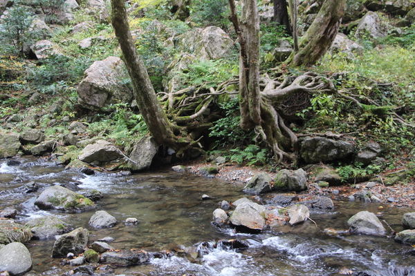 神庭の滝からの渓流と秋模様/癒し憩い画像データベース