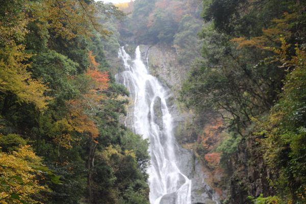 紅葉期の「神庭の滝」滝筋