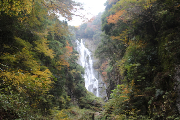 秋の「神庭の滝」遠景