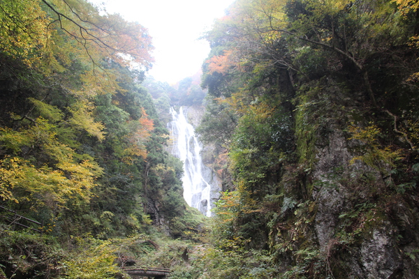 秋の「神庭の滝」遠景