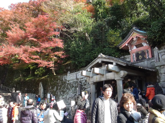 晩秋の京都・清水寺「音羽の瀧」/癒し憩い画像データベース