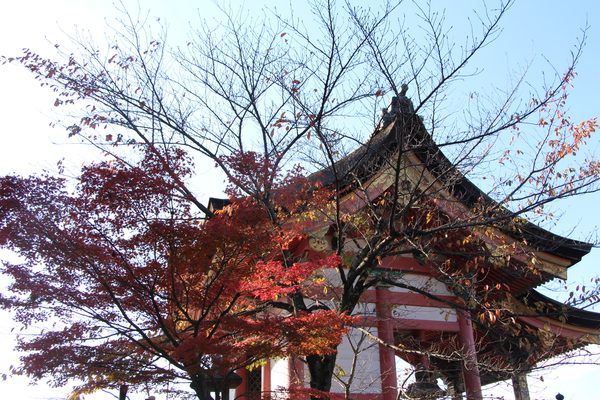 秋の京都・清水寺「西門」