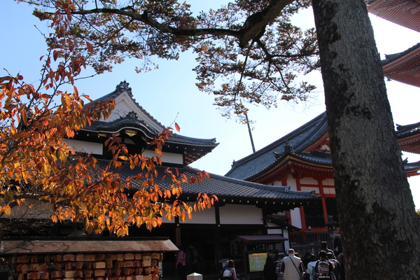 京都・清水寺/癒し憩い画像データベース