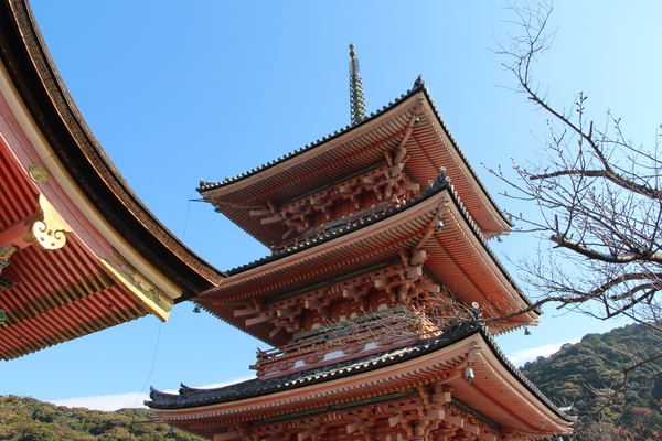 秋の青空と清水寺「三重塔」