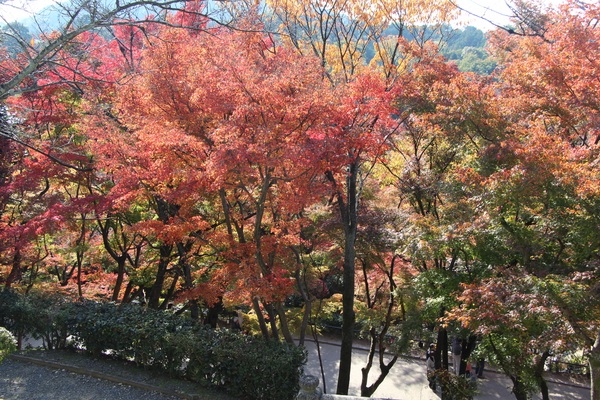 京都・清水寺の秋景色