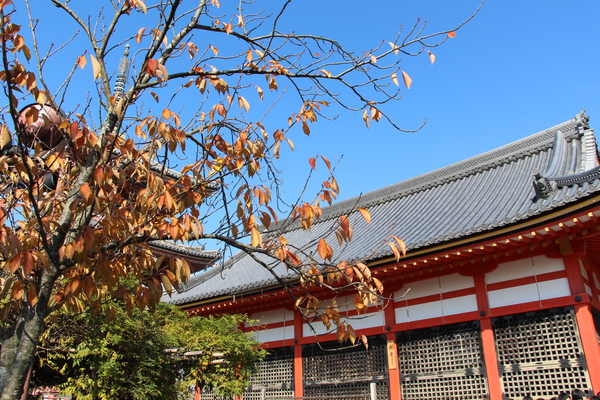 秋の京都・清水寺「経堂」