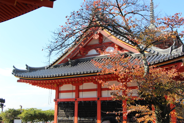 秋の京都・清水寺「田村堂」