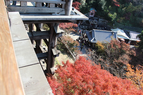 京都・清水寺「本堂舞台」から見た秋景色/癒し憩い画像データベース