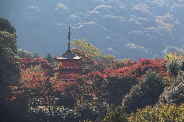 京都・清水寺「本堂舞台」から見た秋景色/癒し憩い画像データベース