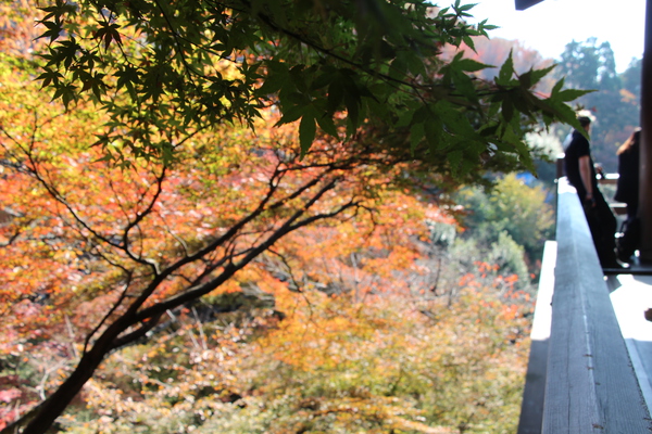京都・清水寺の秋景色