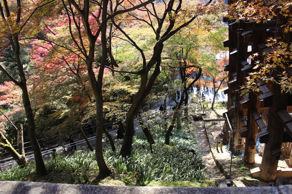 秋の京都・清水寺「本堂舞台の懸け造り」/癒し憩い画像データベース